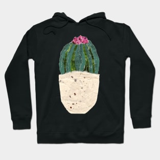 Cactus with pink flower collage Hoodie